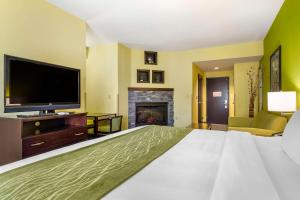 Comfort Inn Athens I - 75