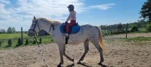 agroturystyka konie nobis 604-217-328 - Bobolice