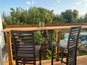 Lhibiscus rouge - Le Fond de Maurice