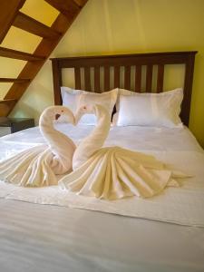 Coffee House Resort Dambulla,Sigiriya