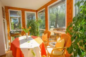 Kleines Appartement mit gepflegtem Garten - Ellrich