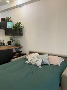 Un petit cocon en plein cœur du 11eme