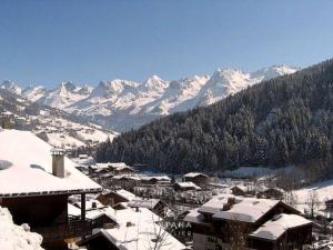 Studio rénové de 26m² à Le Grand-Bornand pour 4 personnes - FR-1-458-116