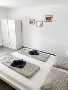 Apartmaji ZBGS