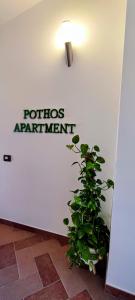 Pothos Apartment img14