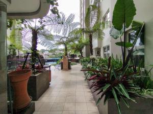Delight 2BR Apartment at Parahyangan Residence By Travelio