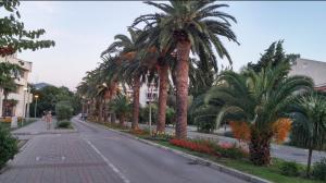 DUBLIN STAN na dan u MARŠALA TITA