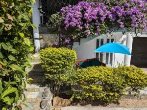 Captain's Quarters Studio - Palmyre