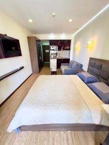 Апартаменты студия в комплексе Orbi beach tower