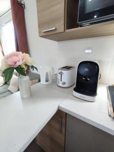 Campings MOBIL HOME 40M2 ECRIN DE VERDURE : photos des chambres