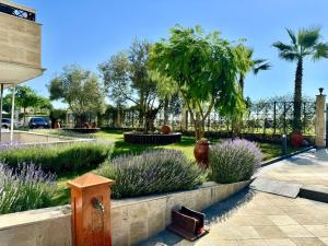 Teos Apartments Primorsko