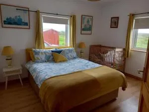 Pet friendly Sea side house in Connemara - 克利夫登