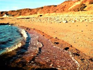 Selkie House Sea Song