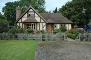 Stay with Robin - Slinfold