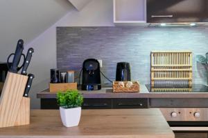 Appartements GameClub - Les Demeures d-Adrien : photos des chambres