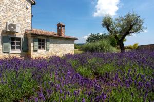 Villa Luna 