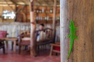 Varatraza Wind Riders