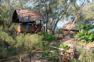 Varatraza Wind Riders