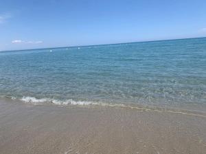 Maisons de vacances l etoile de mer logement 4 : photos des chambres