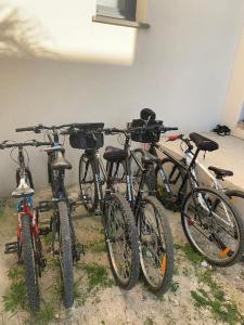 Maisons de vacances l etoile de mer logement 4 : photos des chambres