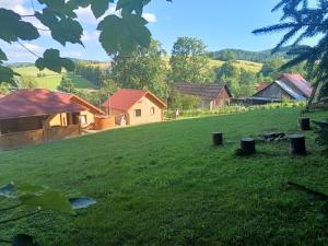 BIESZCZADZKA Antosiówka