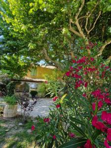 Sejours chez l'habitant Mes Chambres a la campagne : photos des chambres