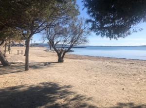 Appartements Residence les Nautiles : photos des chambres