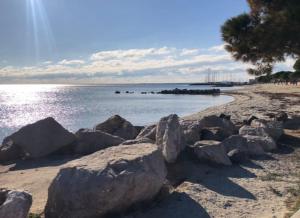 Appartements Residence les Nautiles : photos des chambres