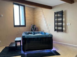 Love hotels Le Cocon SPA lune de miel : photos des chambres