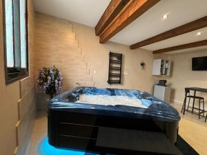 Love hotels Le Cocon SPA lune de miel : photos des chambres