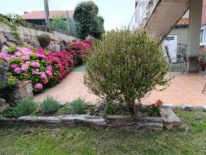 Apartamentos Guadalupe