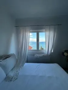 Daniels Homestay - Lin