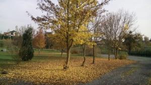 Chalets Chalet Domaine du Hulobiet : photos des chambres