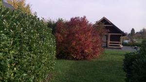 Chalets Chalet Domaine du Hulobiet : photos des chambres