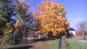 Chalets Chalet Domaine du Hulobiet : photos des chambres