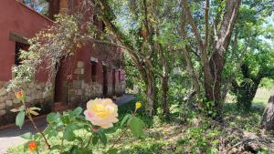 Apartamentos Rurales La Oropendola