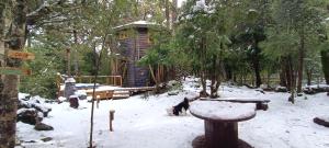 Cabañita del Árbol Cóndor