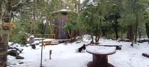 Cabañita del Árbol Cóndor - Recinto