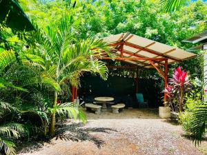 Lovely rental unit in Nosara- steps from the beach