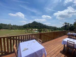 Glamping VALL de CODÓ