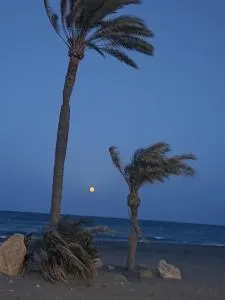 Las Brisas - El Saltador Bajo