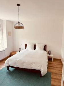 Appartements Studio Churchill hypercentre : photos des chambres
