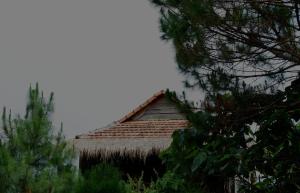 Phòng Có Giường Cỡ King Nhìn Ra Hồ Nước (King Room with Lake View)