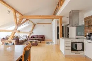 Loft apartament Maiselova - Prague