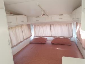 Aquariumi Jale Camping