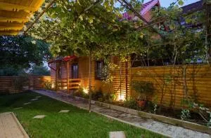 Casa DanAdy - Turnişor