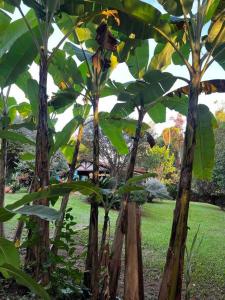 Chácara trevisio, próximo aos parques