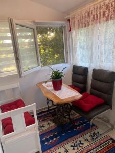 Apartment Sabina