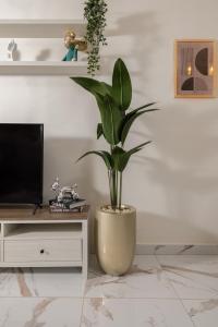 Marina Resort New Alamein By Seven Seasons