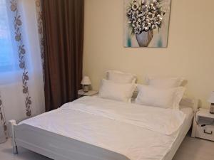 Apartament Teo